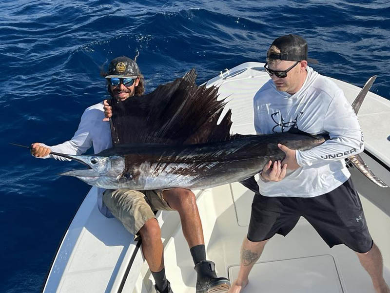 florida keys sailfishing. offshore fishing